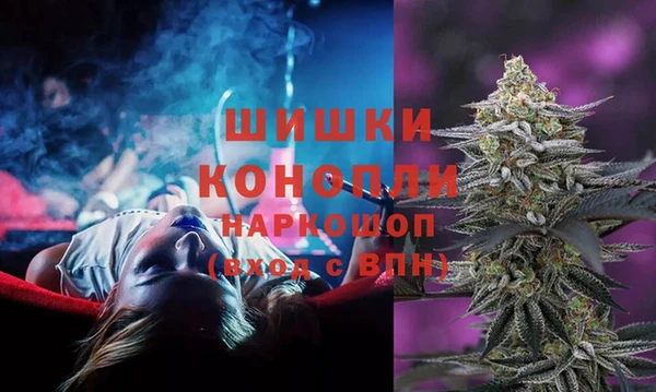СК Россошь