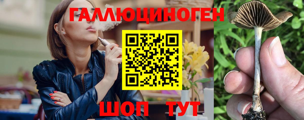 Братск  Псилоцибиновые грибы мухоморы  Вход с VPN 